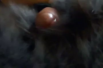 Reggeli öröm a barátommal a bérelt free szex videók lakásában.