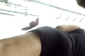 Egy barna testver szex videok borotvált puncival rohan a sperma fölött.