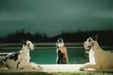 A vörös hajú nem amatőr erotikus videók idegenkedik a punci felállításától.