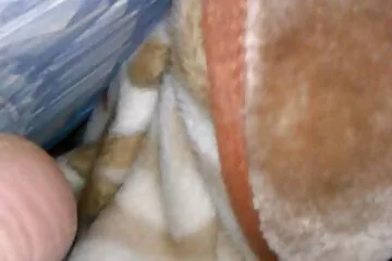 Meztelen lányok zuhanyoznak erotikus filmek online és szórakoznak.